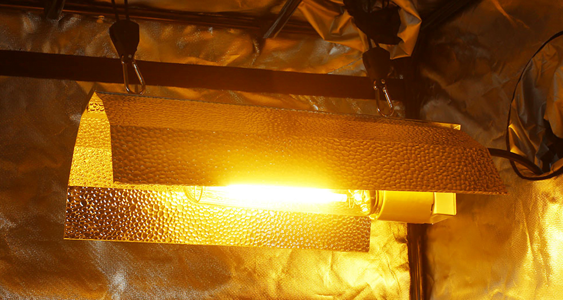 What Is HPS Grow Lighting