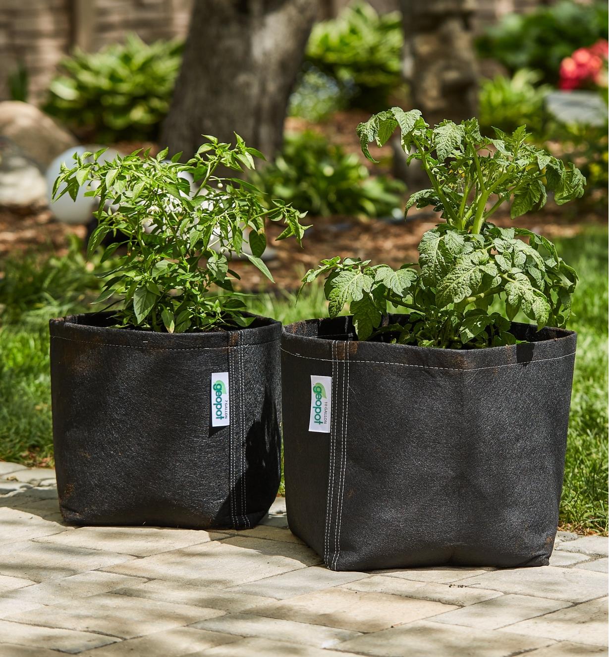 30 Gallon Fabric Plants Grow Bags 4 Square Planting Bag Non-woven