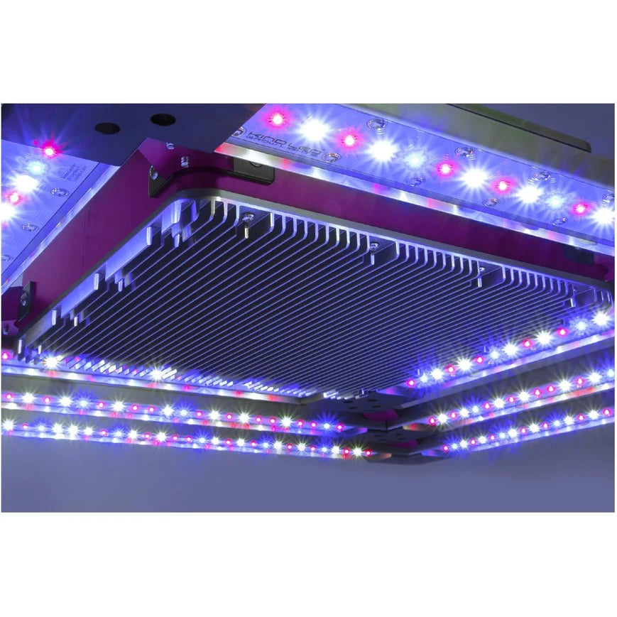 Kind LED X2 Professional LED Grow Light