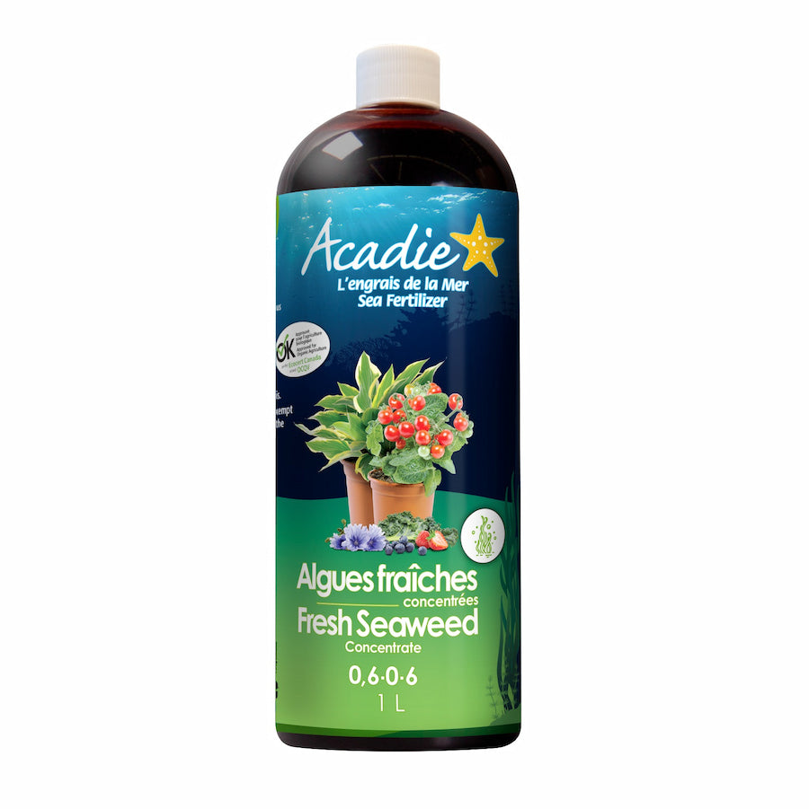 ACADIE Concentré d'algues fraîches 0.6-0-6