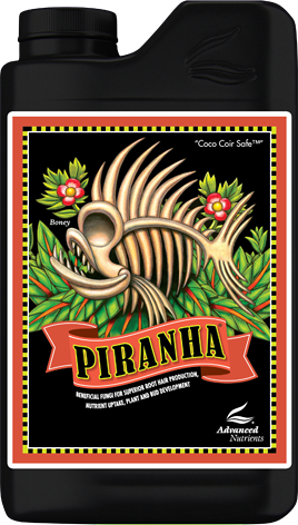 Piranha