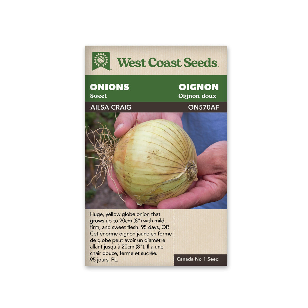 Ailsa Craig Onion Seeds (Heirloom) — West Coast Seeds