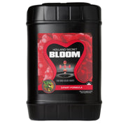 Holland Secret - Bloom