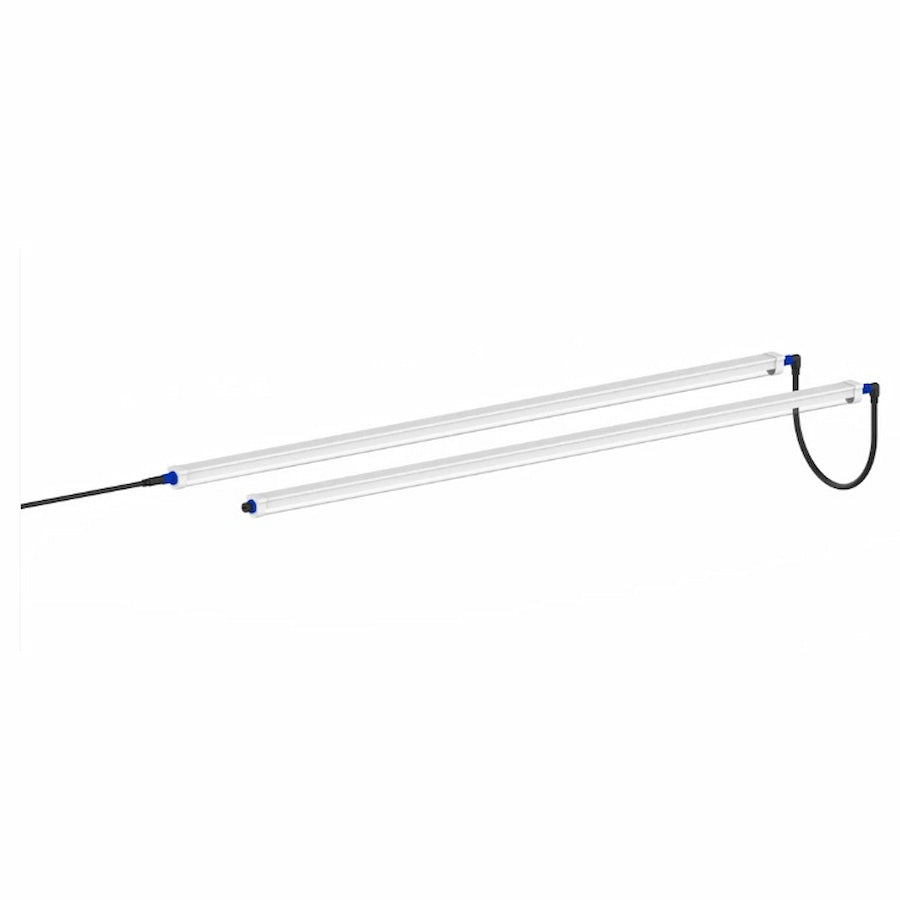 GML Tarantula Reproduction Bar (Pair)