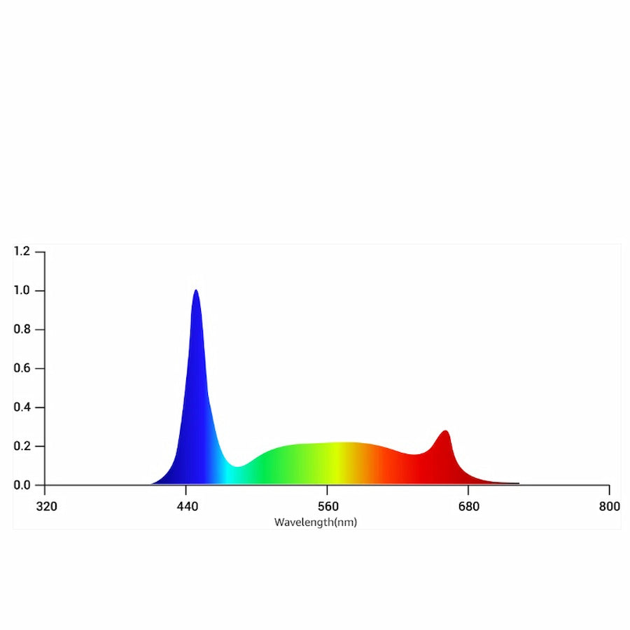 Product Secondary Image:GML Tarantula Reproduction Bar (Pair)