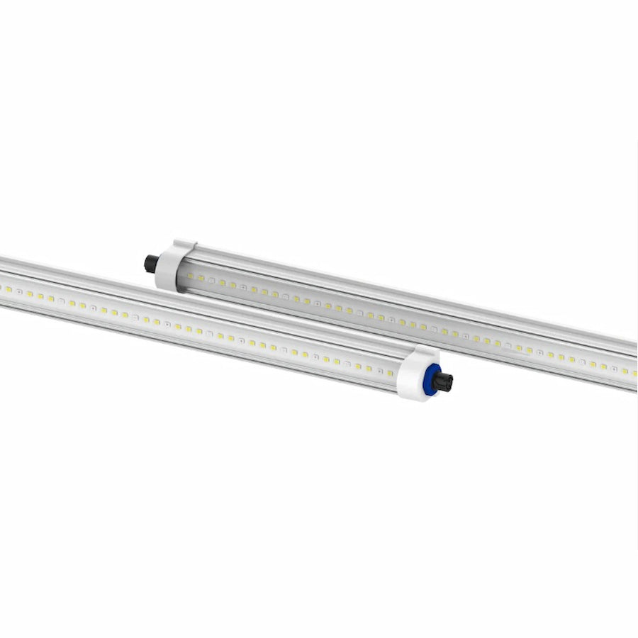 GML Tarantula Reproduction Bar (Pair)