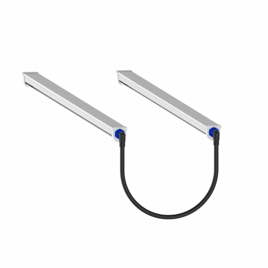 GML Tarantula Reproduction Bar (Pair)