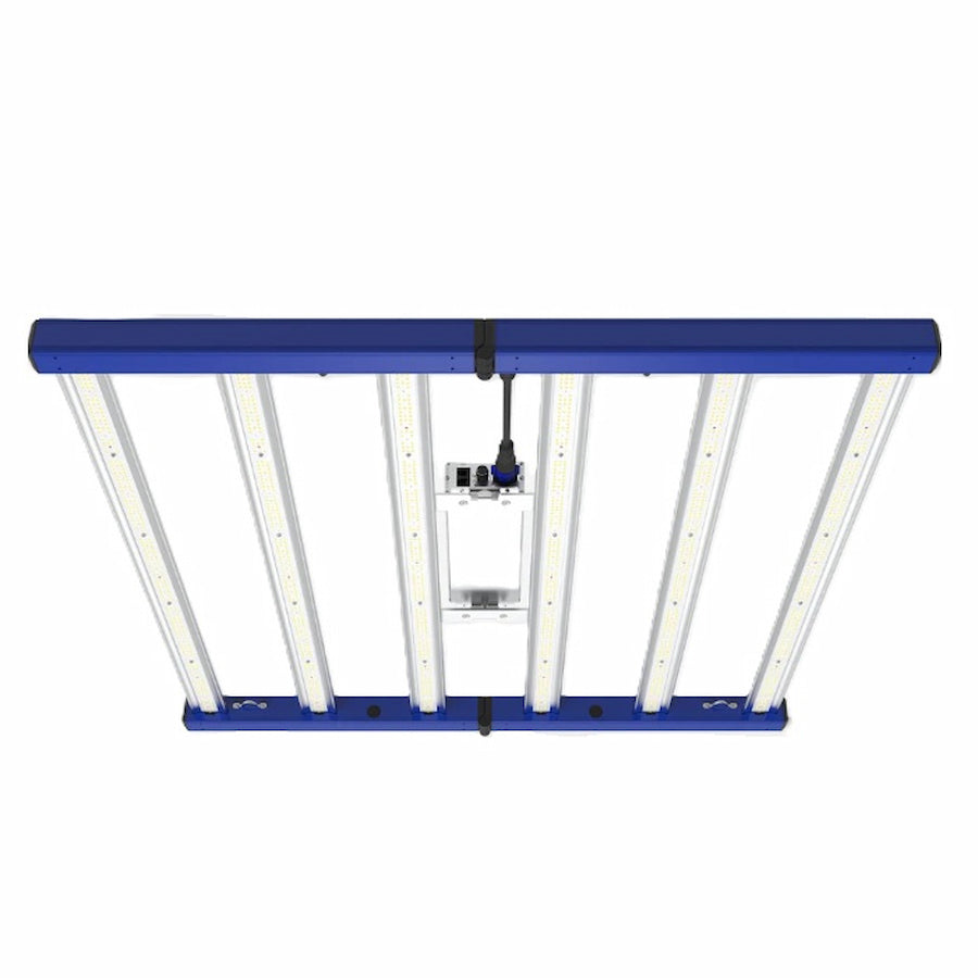 GML Tarantula Revolution 480