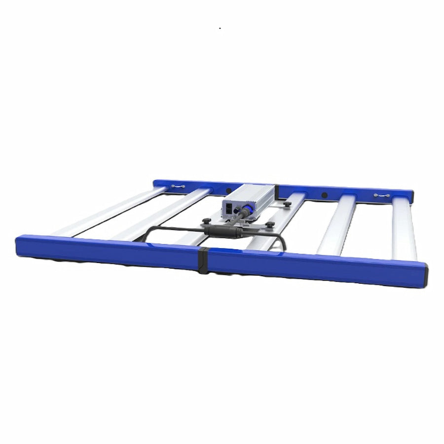 GML Tarantula Revolution 480