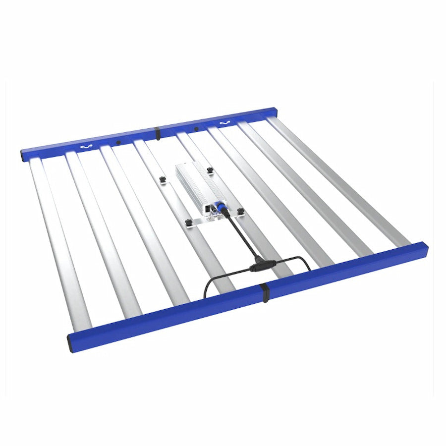 GML Tarantula Revolution 720