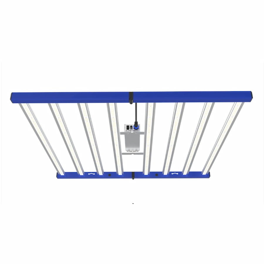 GML Tarantula Revolution 720