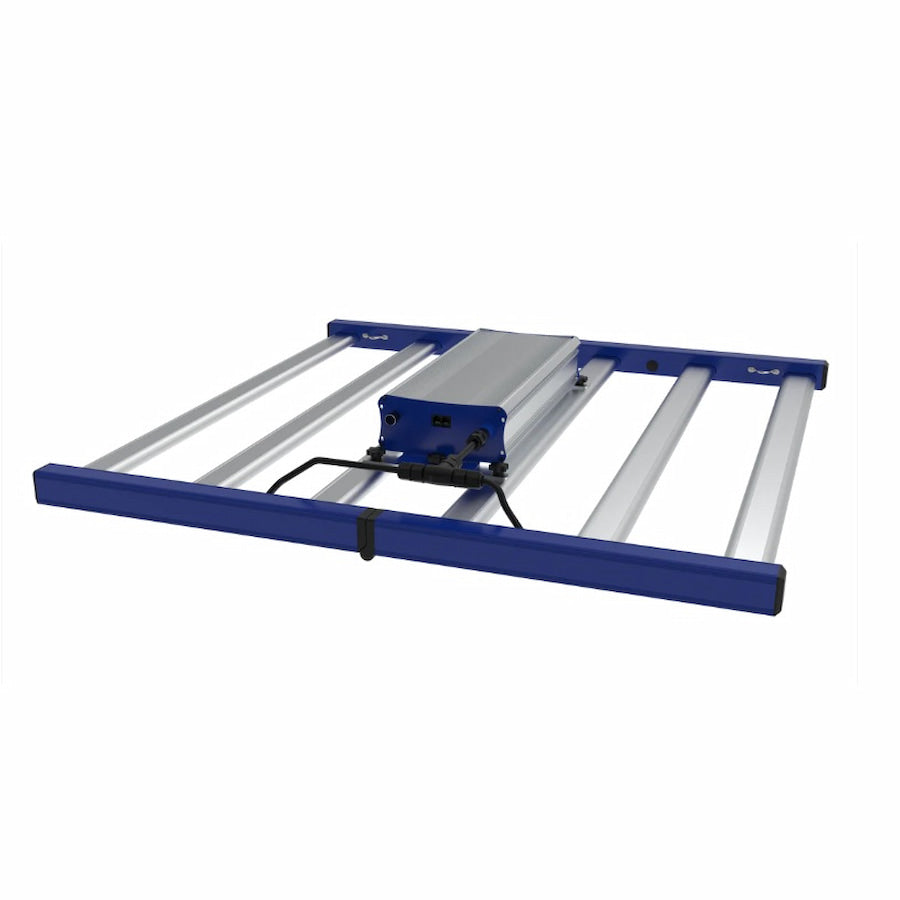 GML Tarantula Torch 480