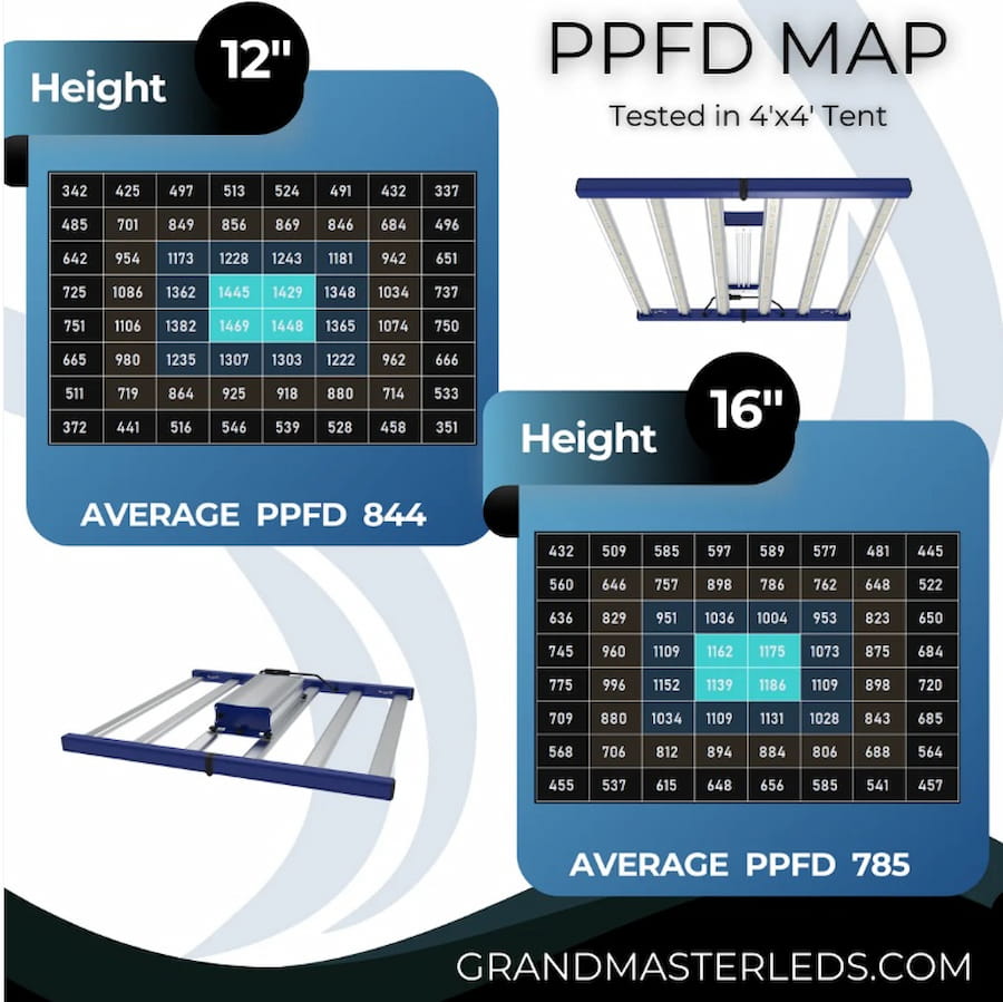 GML Tarantula Torch 480