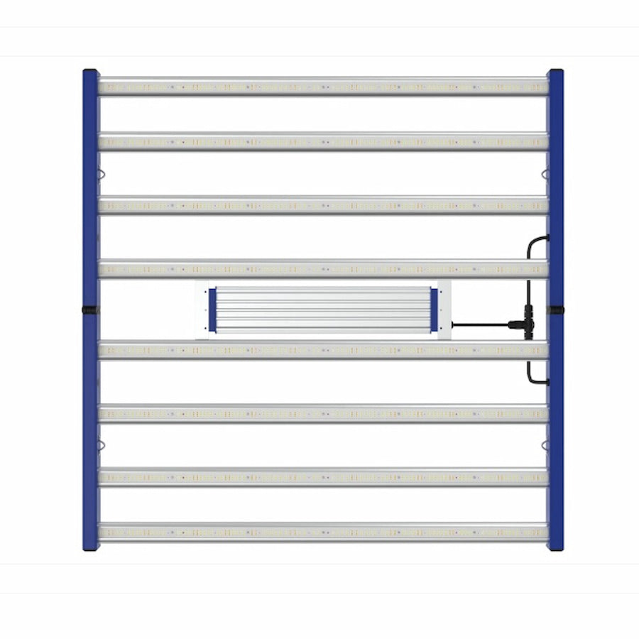GML Tarantula Torch 730