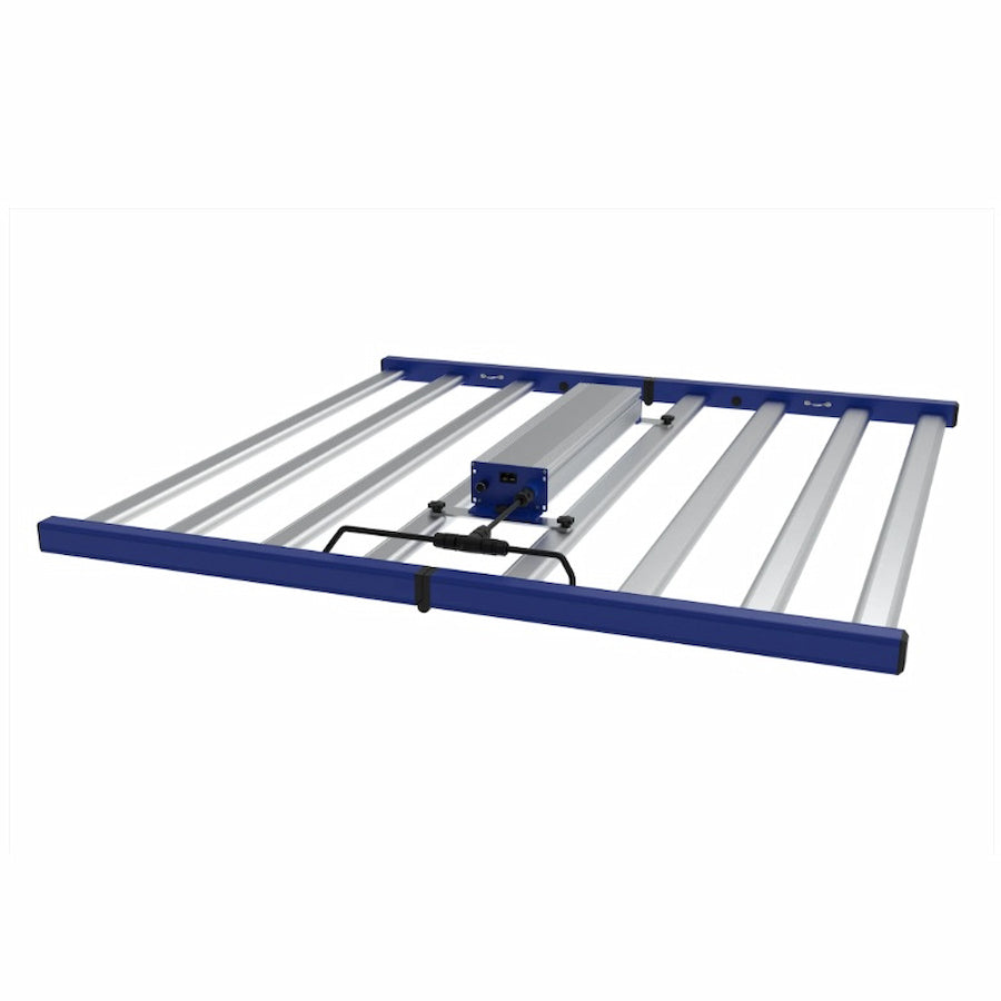 GML Tarantula Torch 730