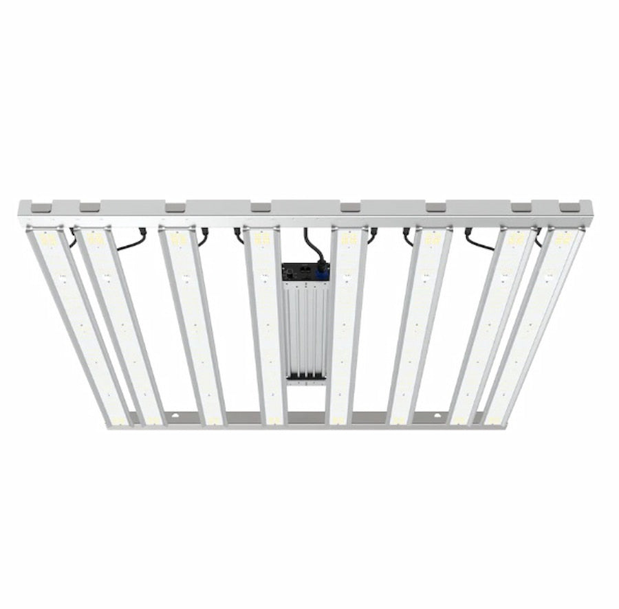 GML Tarantula Ultimate Tent 4X4 V2