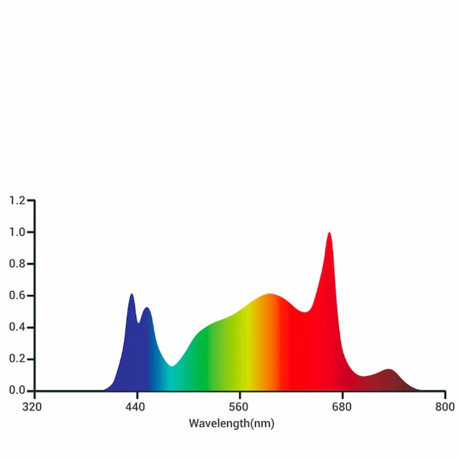 GML Tarantula Ultimate Tent 4X4 V2