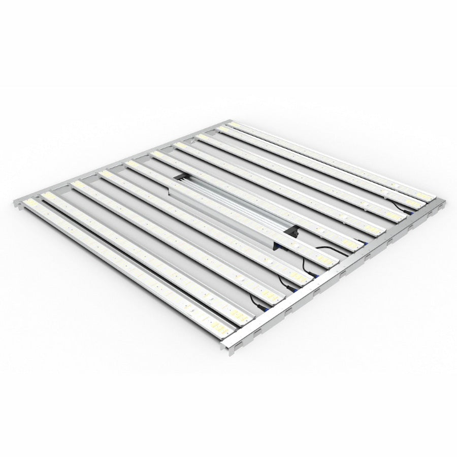 GML Tarantula Ultimate Tent 5X5 V2