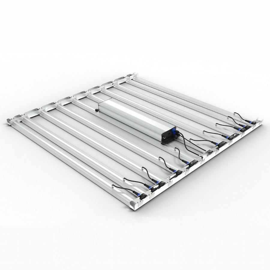 GML Tarantula Ultimate Tent 5X5 V2