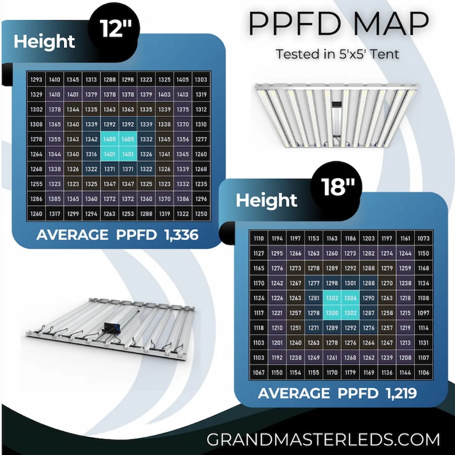 GML Tarantula Ultimate Tent 5X5 V2