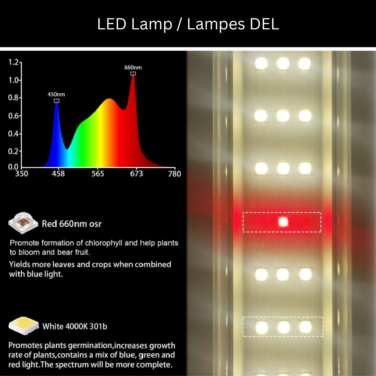 Vivatour 3L Vegetable Garden