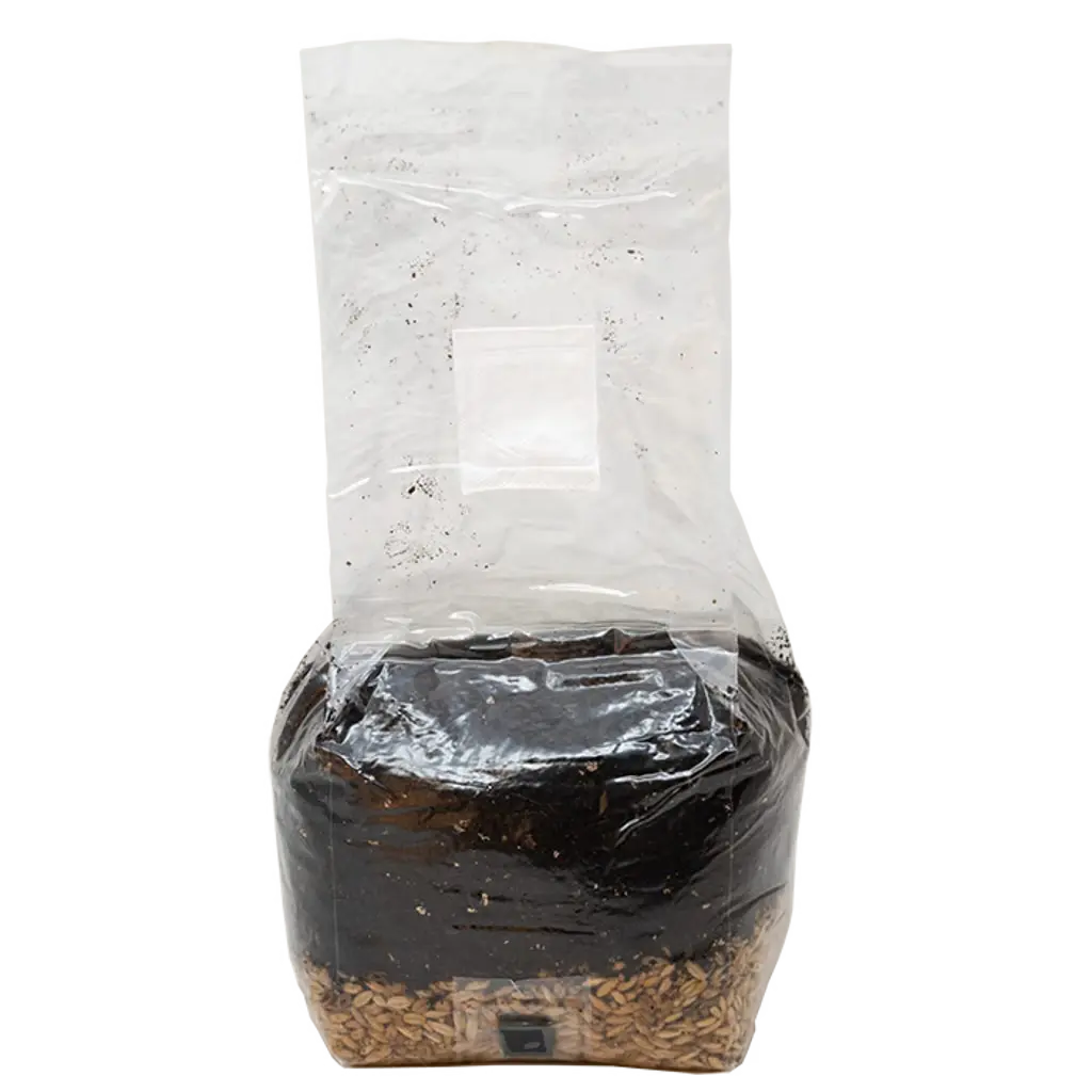 Product Secondary Image:Monster Mushrooms All In One Grow Bag (3lbs)