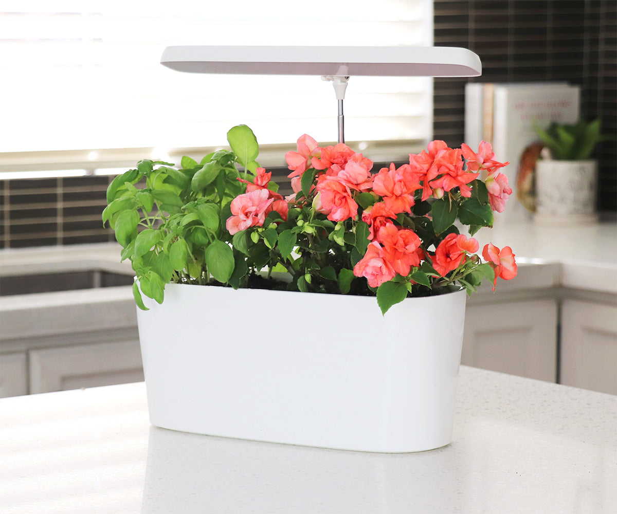 Product Secondary Image:SUNBLASTER NANO GROWLIGHT GARDEN