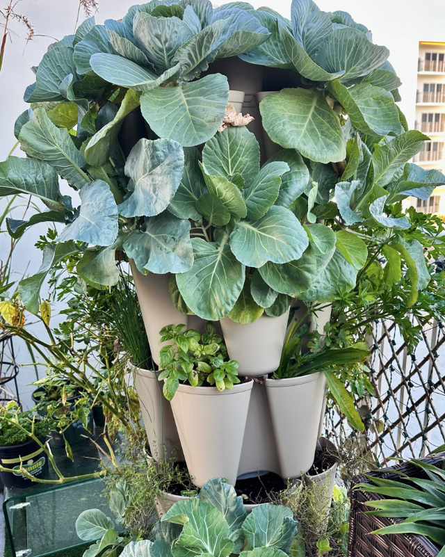 Product Secondary Image:GreenStalk Ultimate Spinner With Wheel Kit