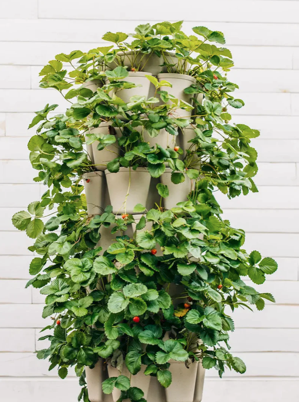 GreenStalk 7 Tier Leaf Vertical Planter
