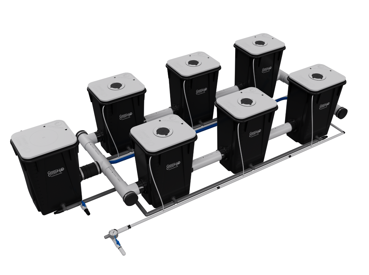 Current Culture H2O Under Current XL/13