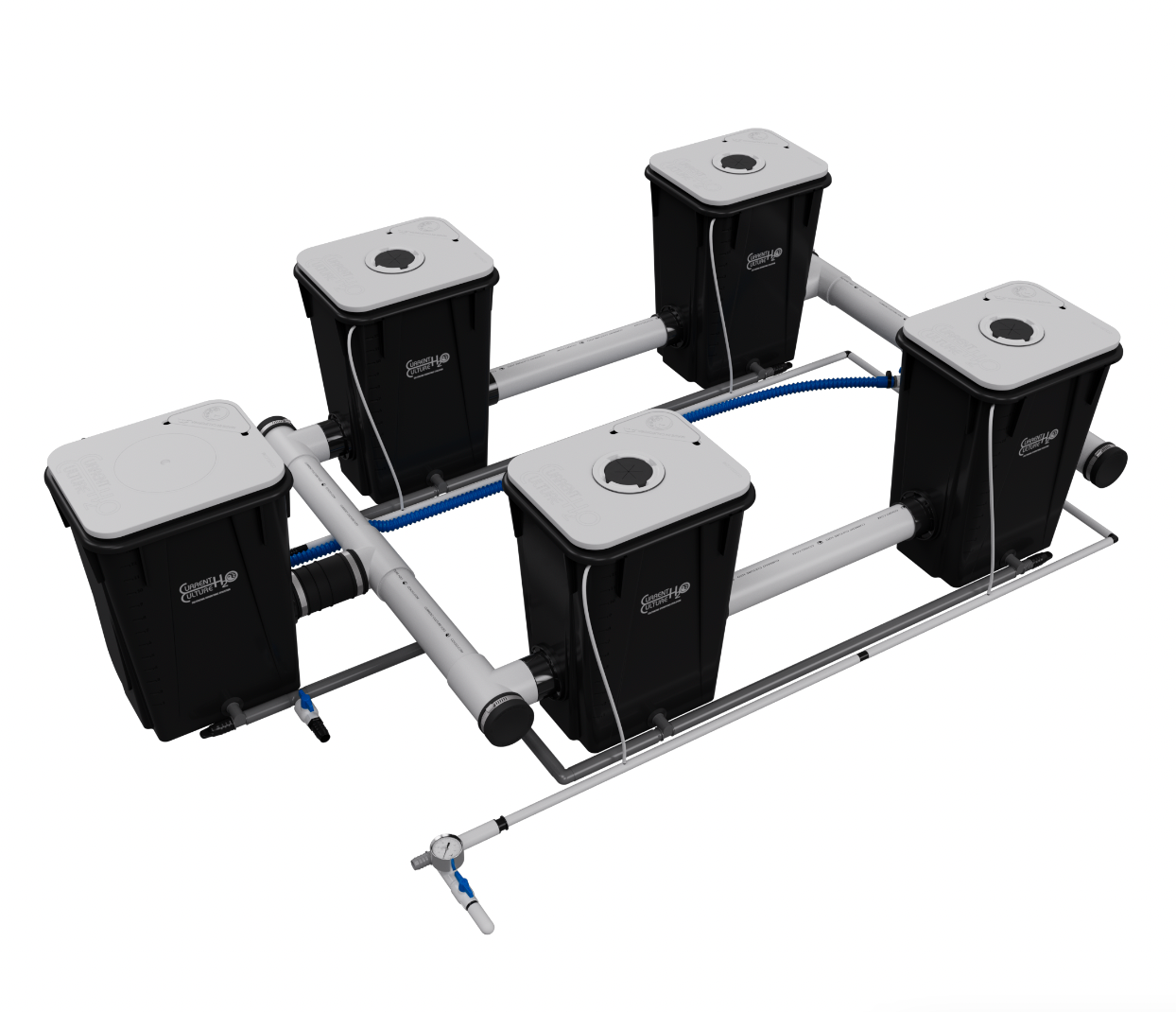 Current Culture H2O Under Current XL/13