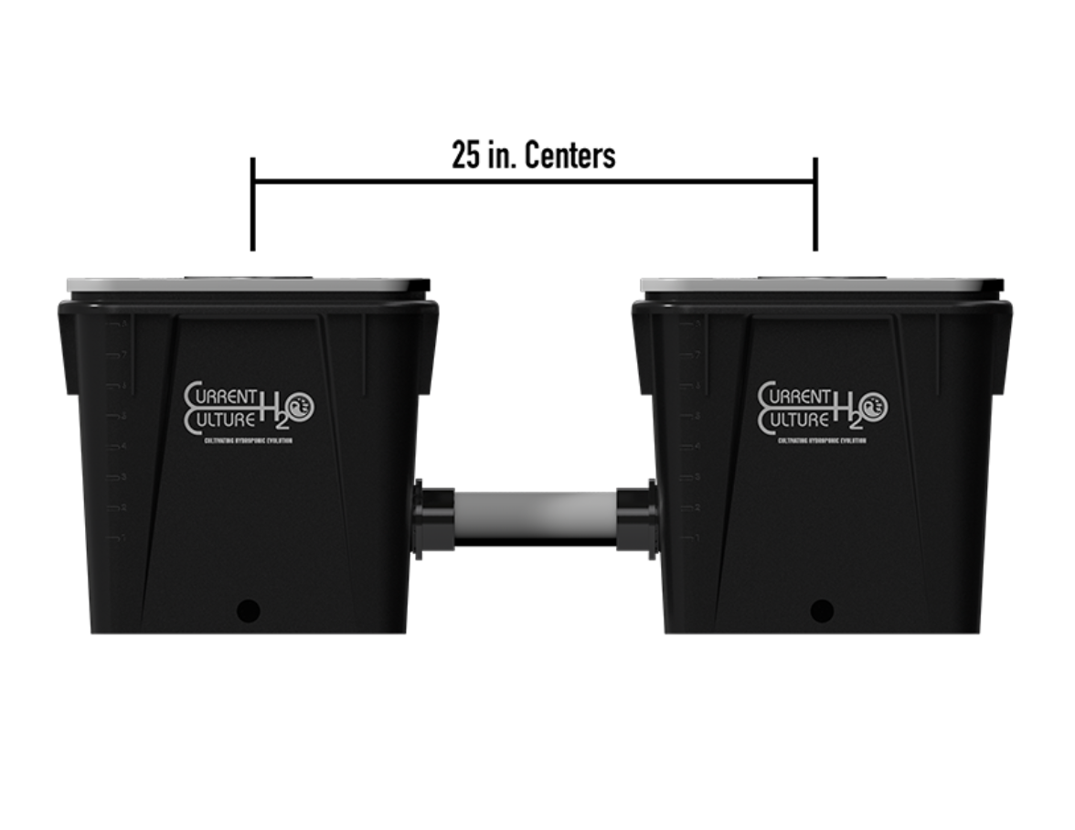 Current Culture Under Current XL