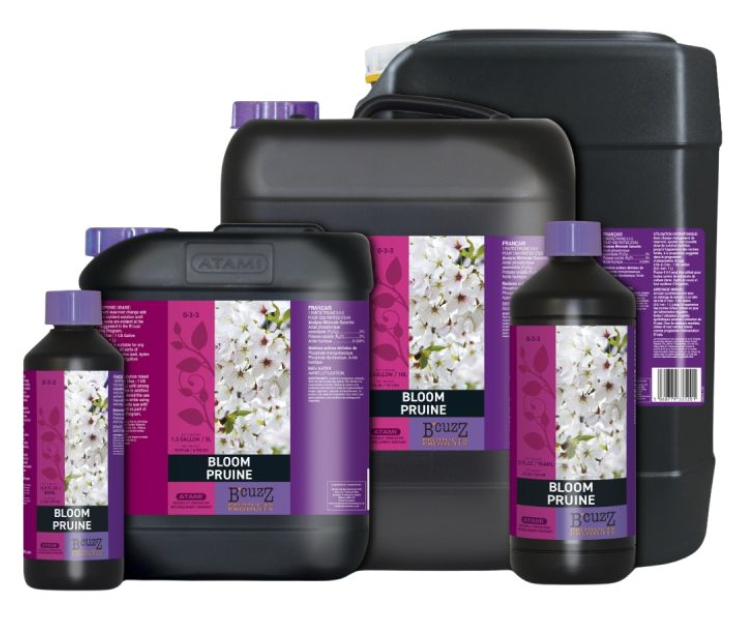 Product Image:Atami B'cuzz Bloom
