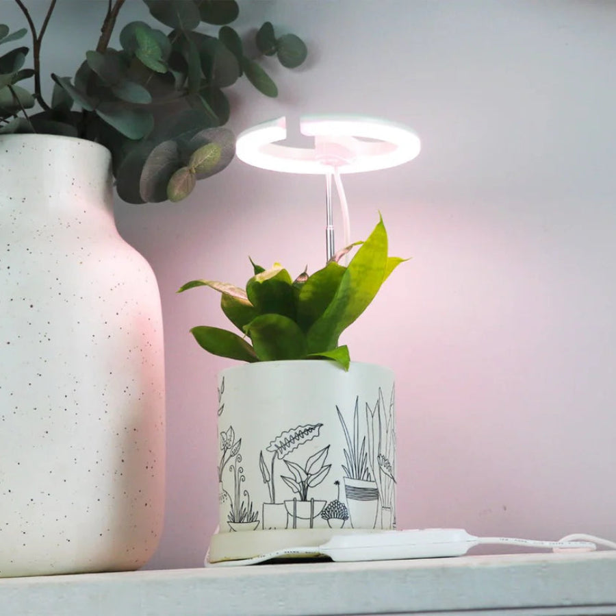 SunBlaster Halo 360 Ring Growlight