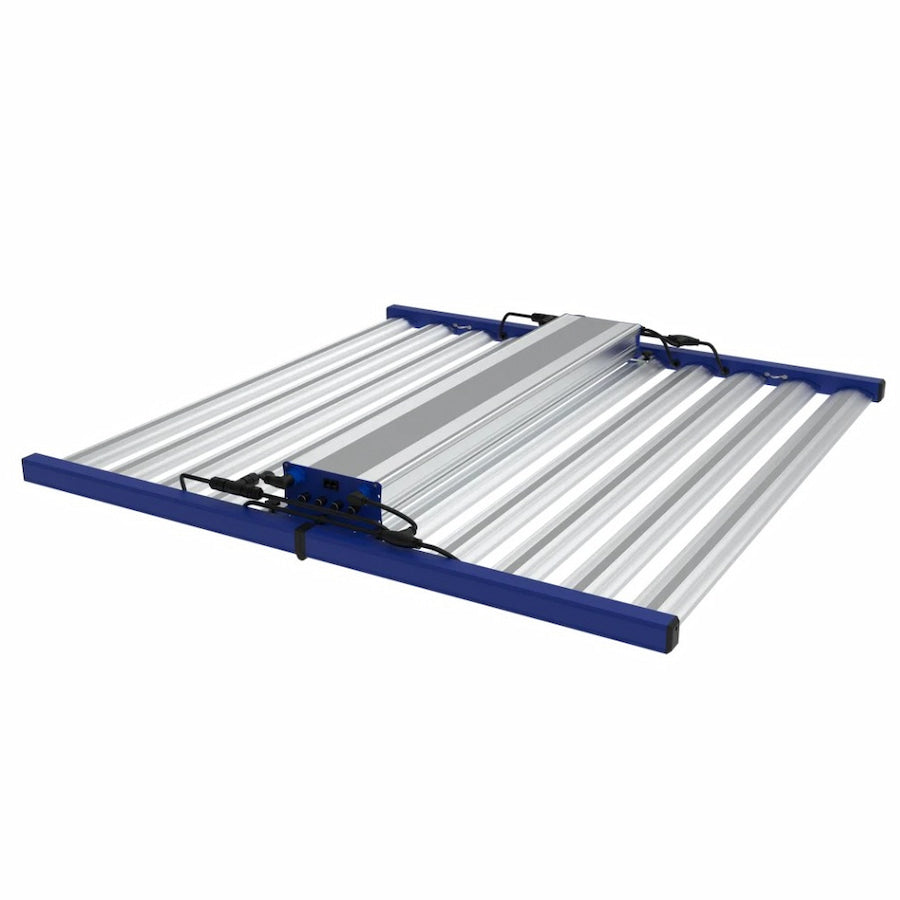 GML Tarantula Borg Evolution V3