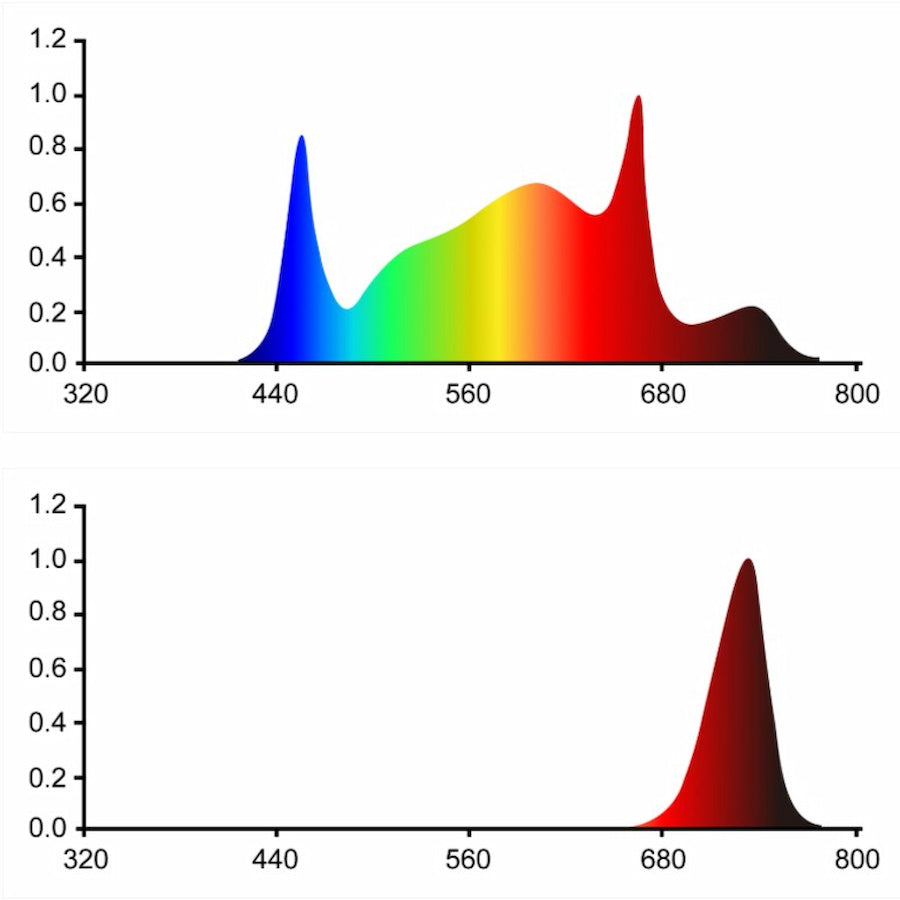 GML Tarantula Long Leg 2-Channel LED Fixture