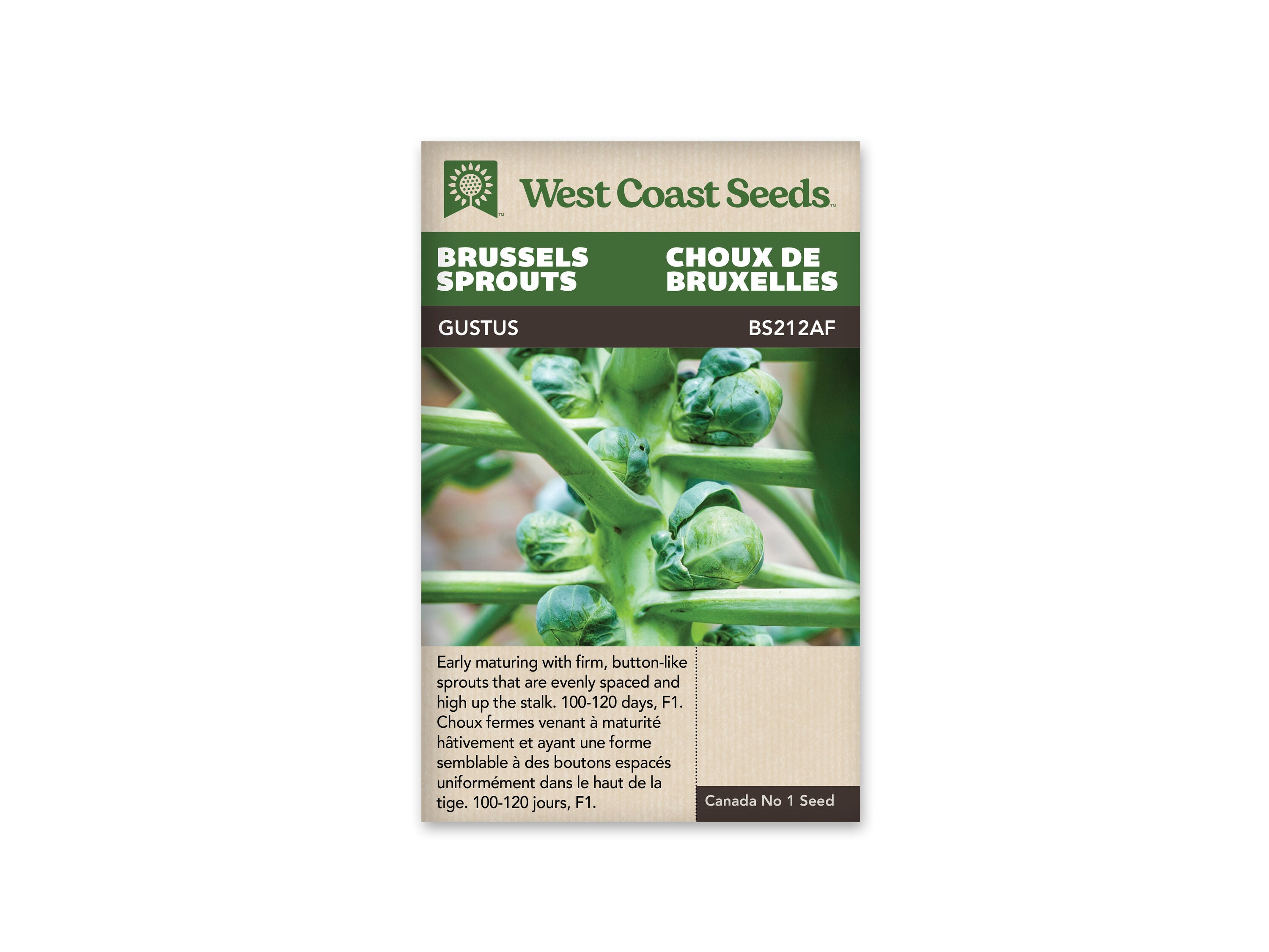 Product Image:Gustus F1 Brussel Sprouts Seeds