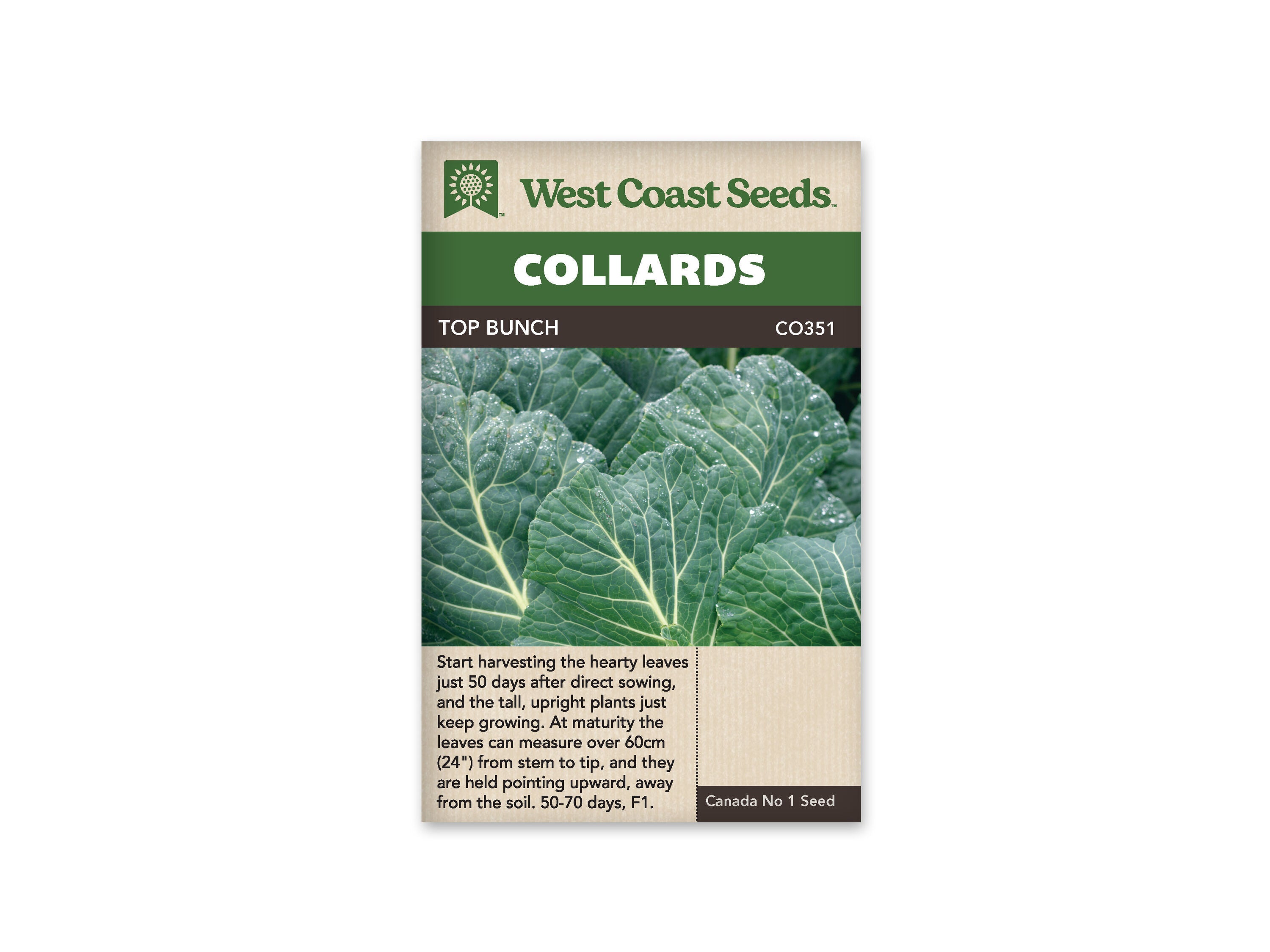 Top Bunch F1 Collards Seeds
