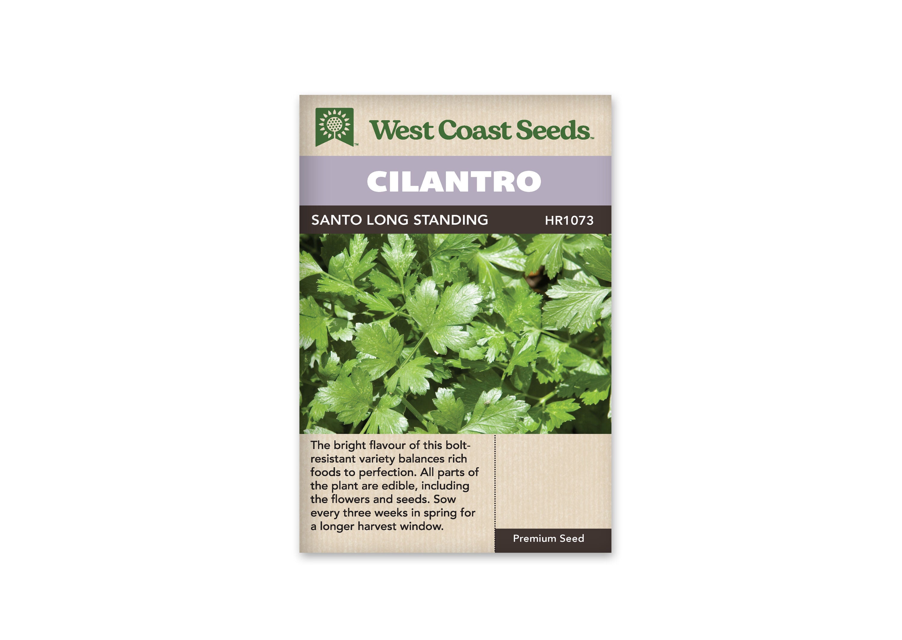 Santo Long Standing Cilantro Seeds