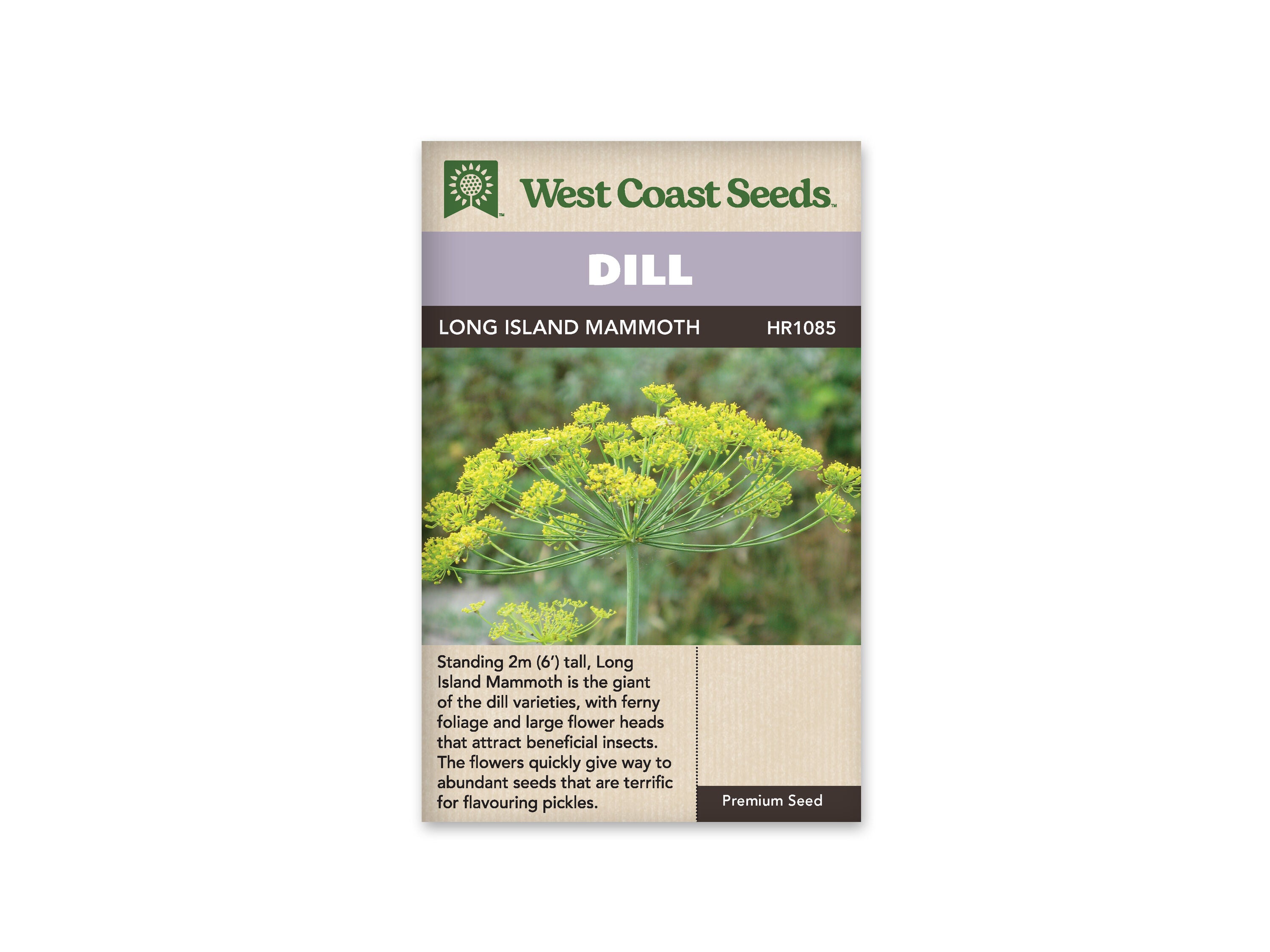 Product Image:Long Island Mammoth Seeds