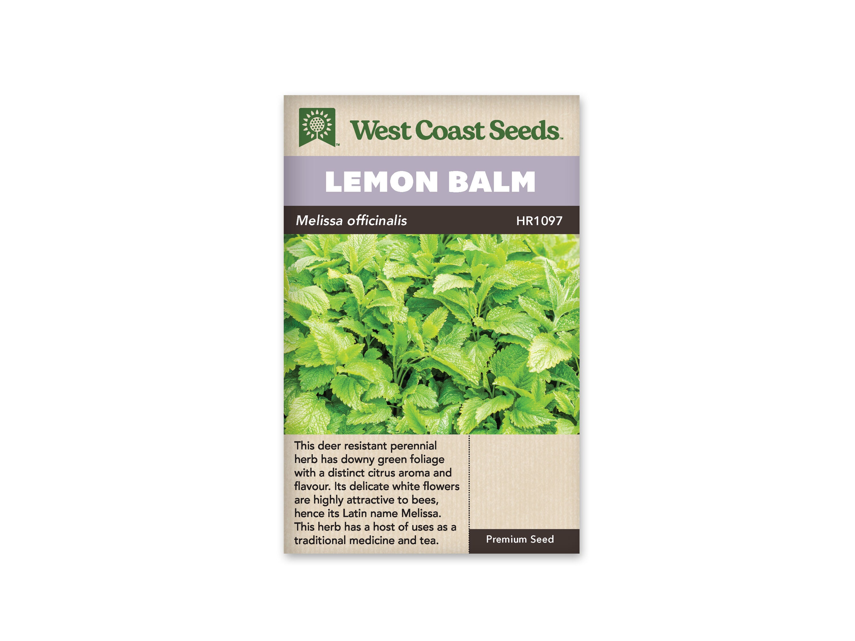 Lemon Balm Seeds