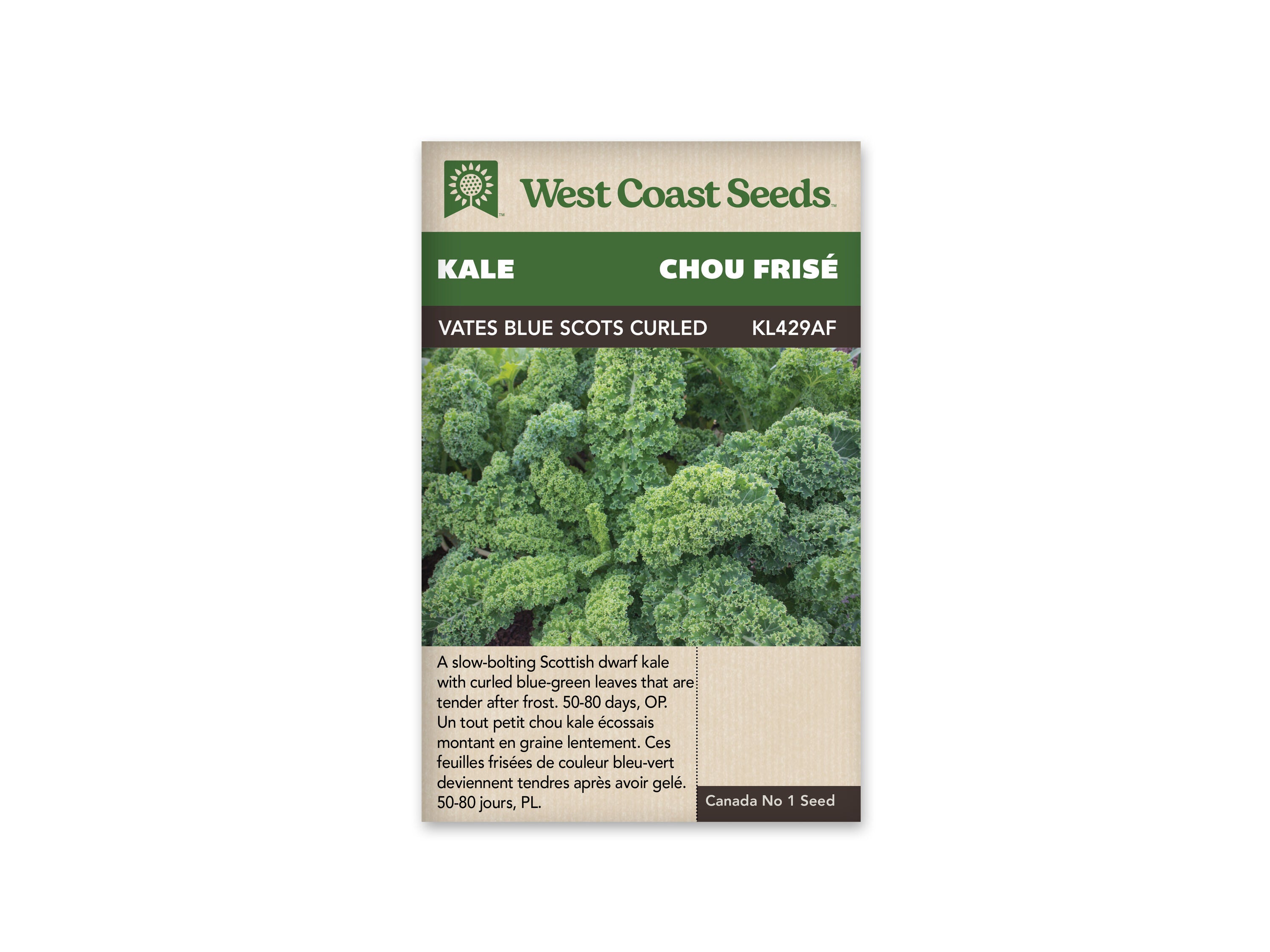 Vates Blue Curled Scotch Kale Seeds