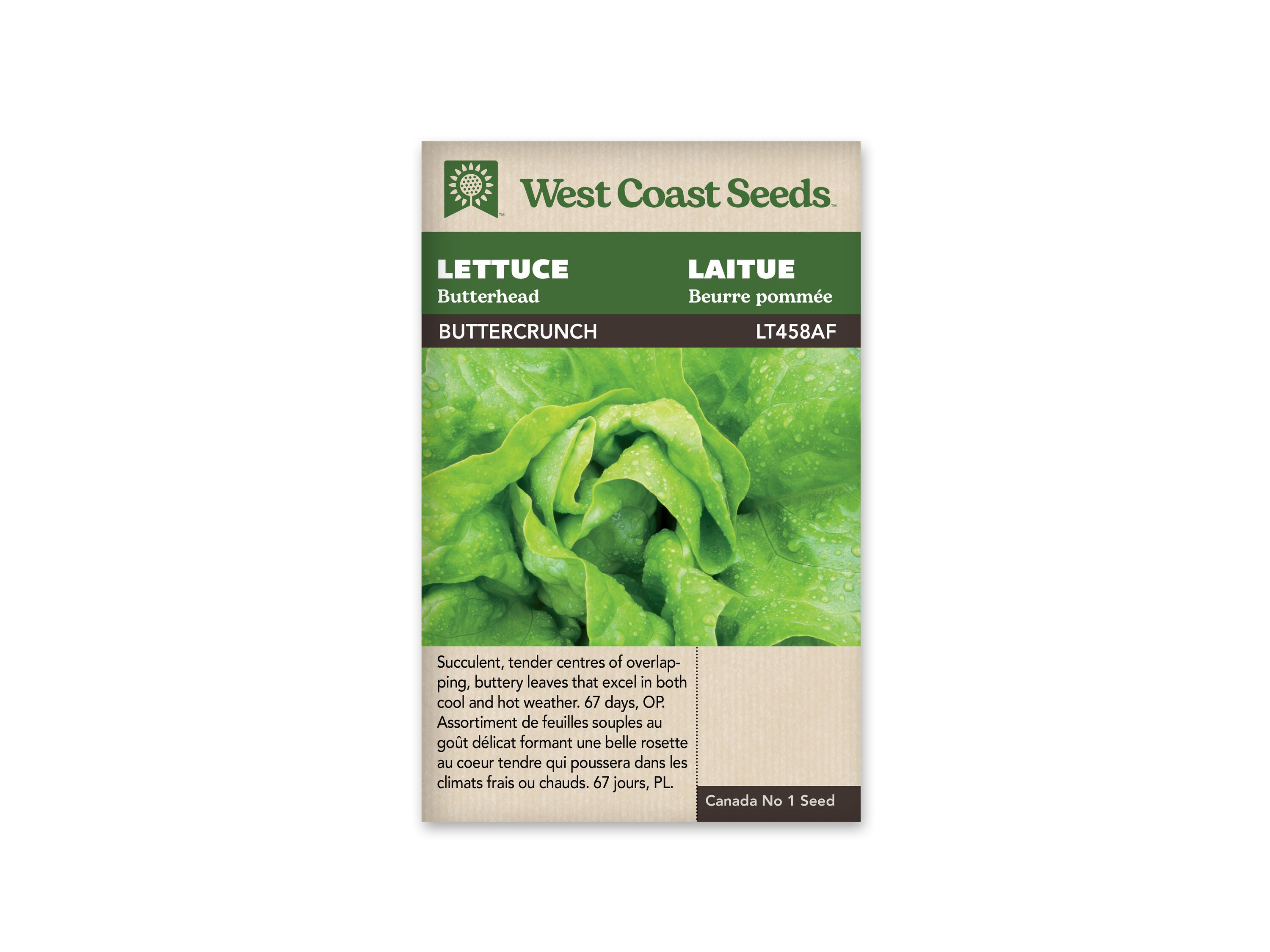 Buttercrunch Seeds