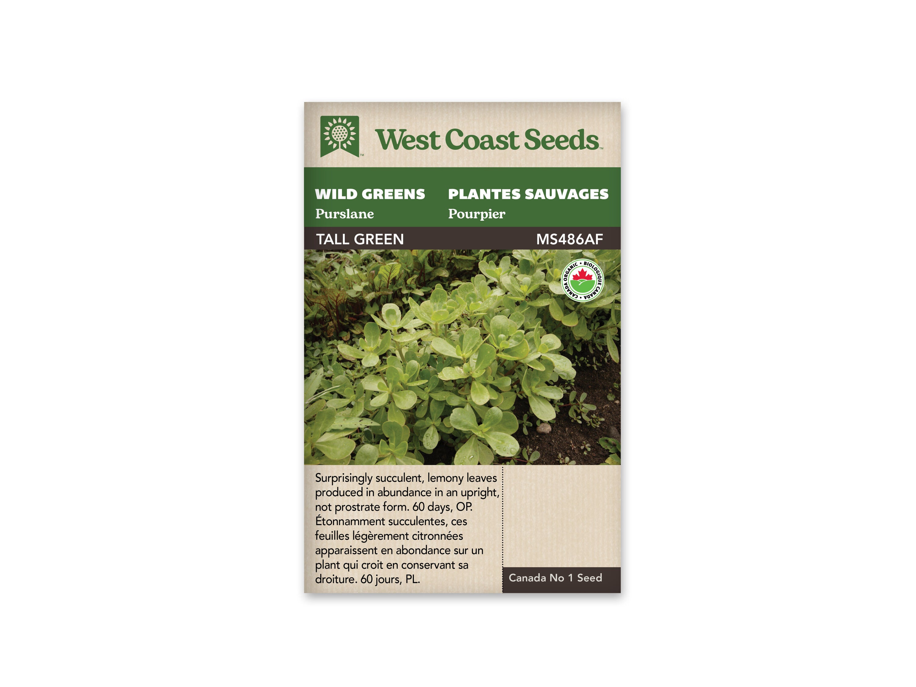 Product Image:Purslane Tall Green Certified Organic Seeds
