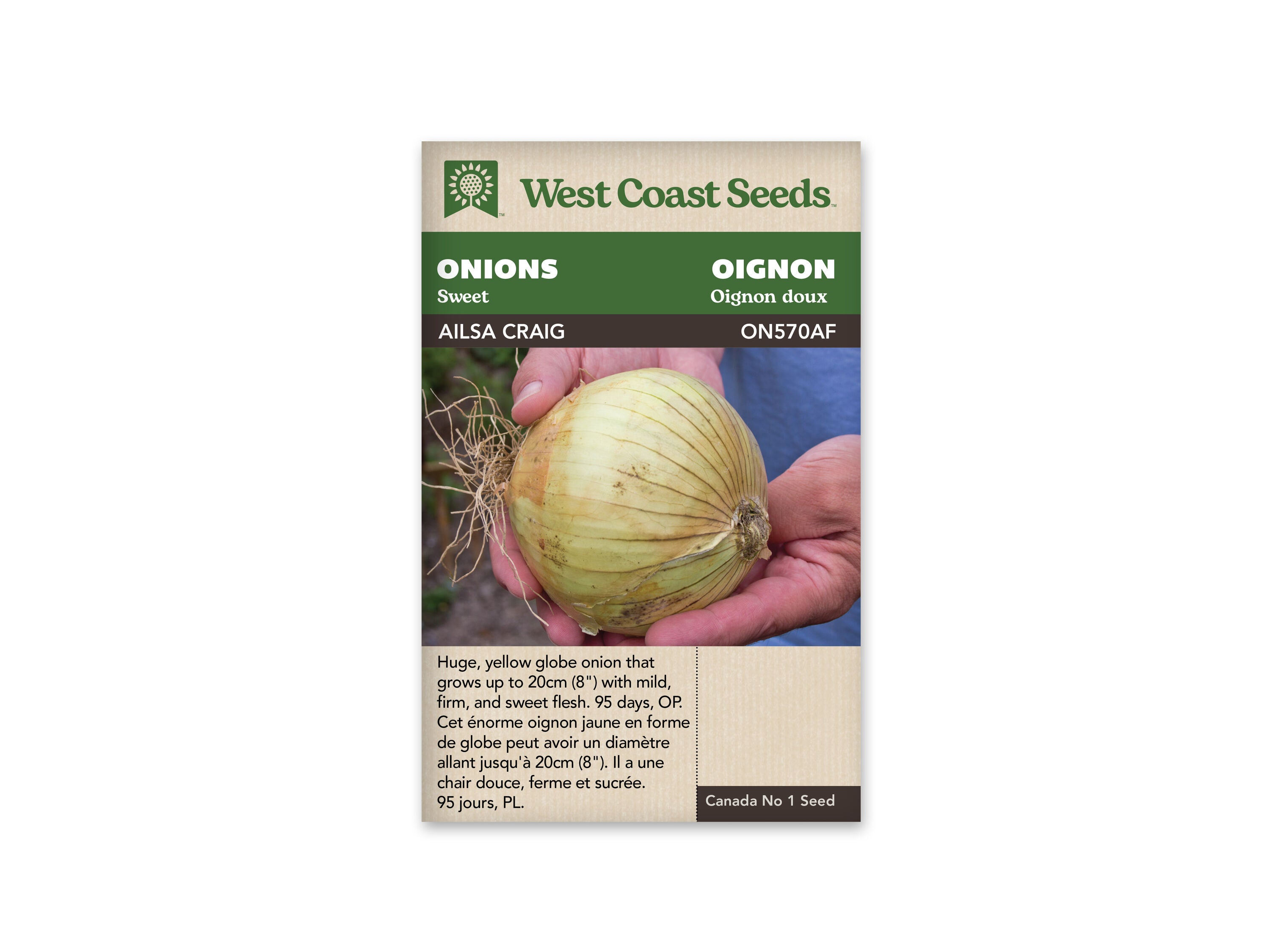 Ailsa Craig Seeds