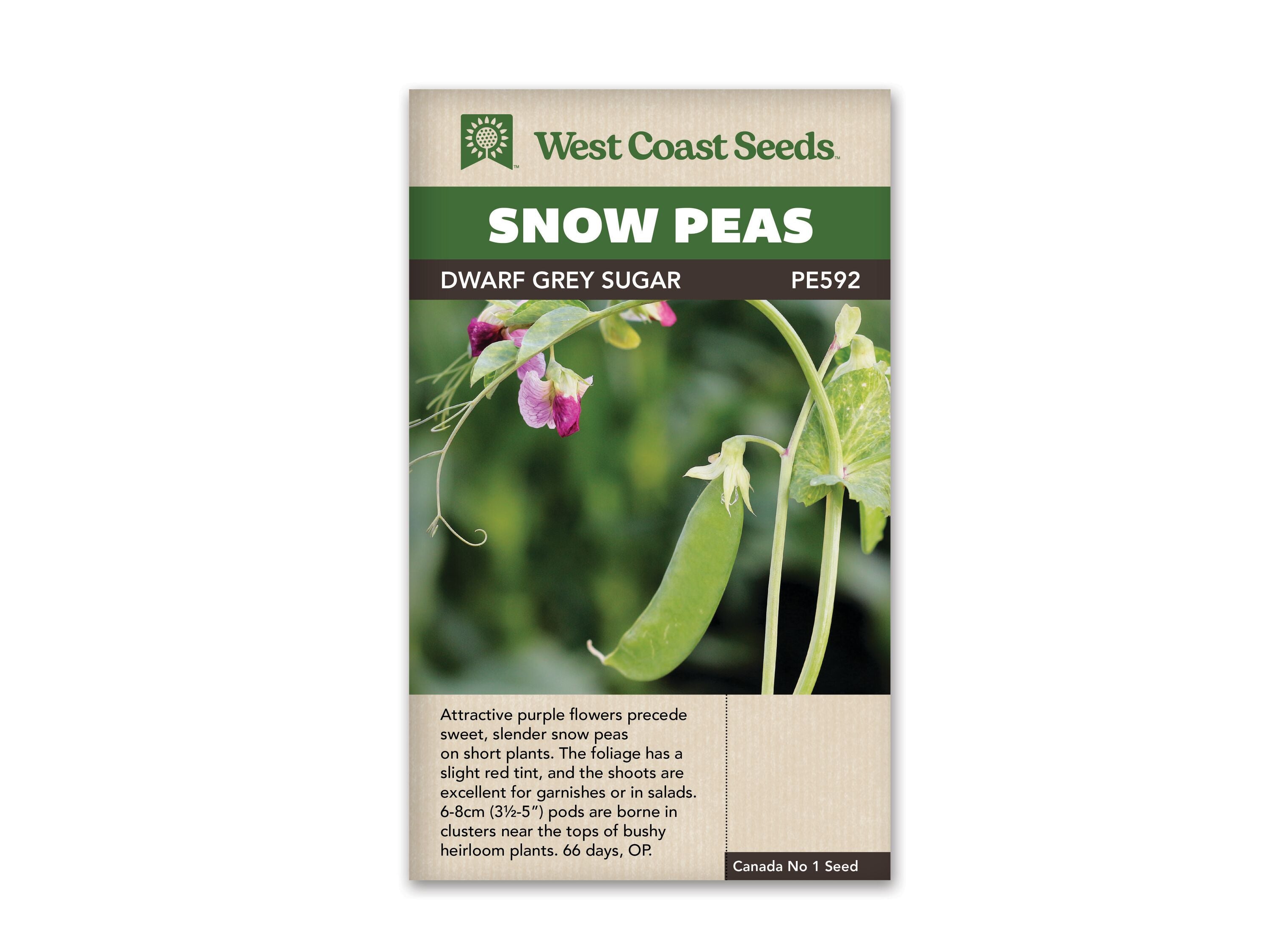 Dwarf Grey Sugar Seeds