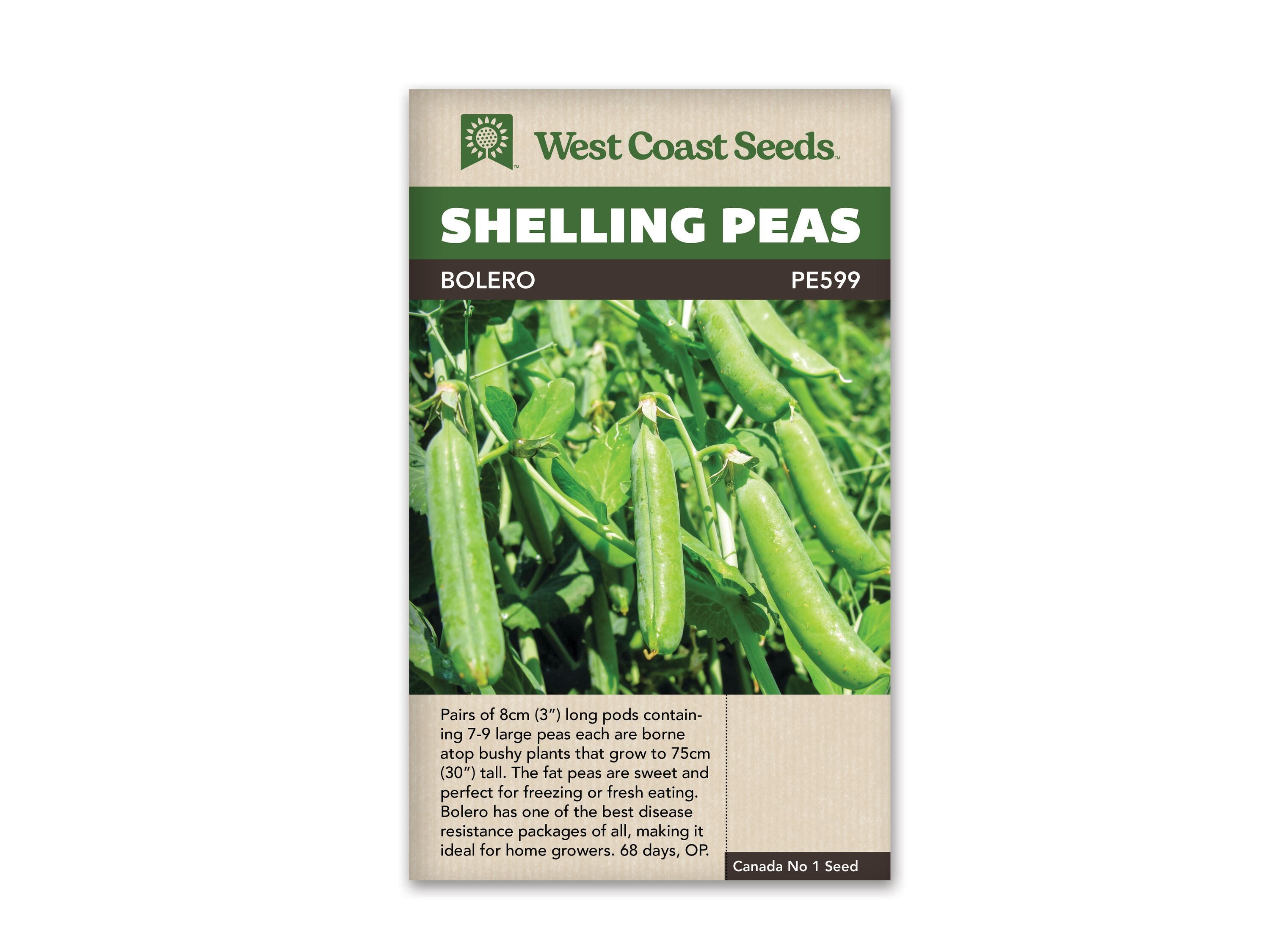 Product Image:Bolero Seeds