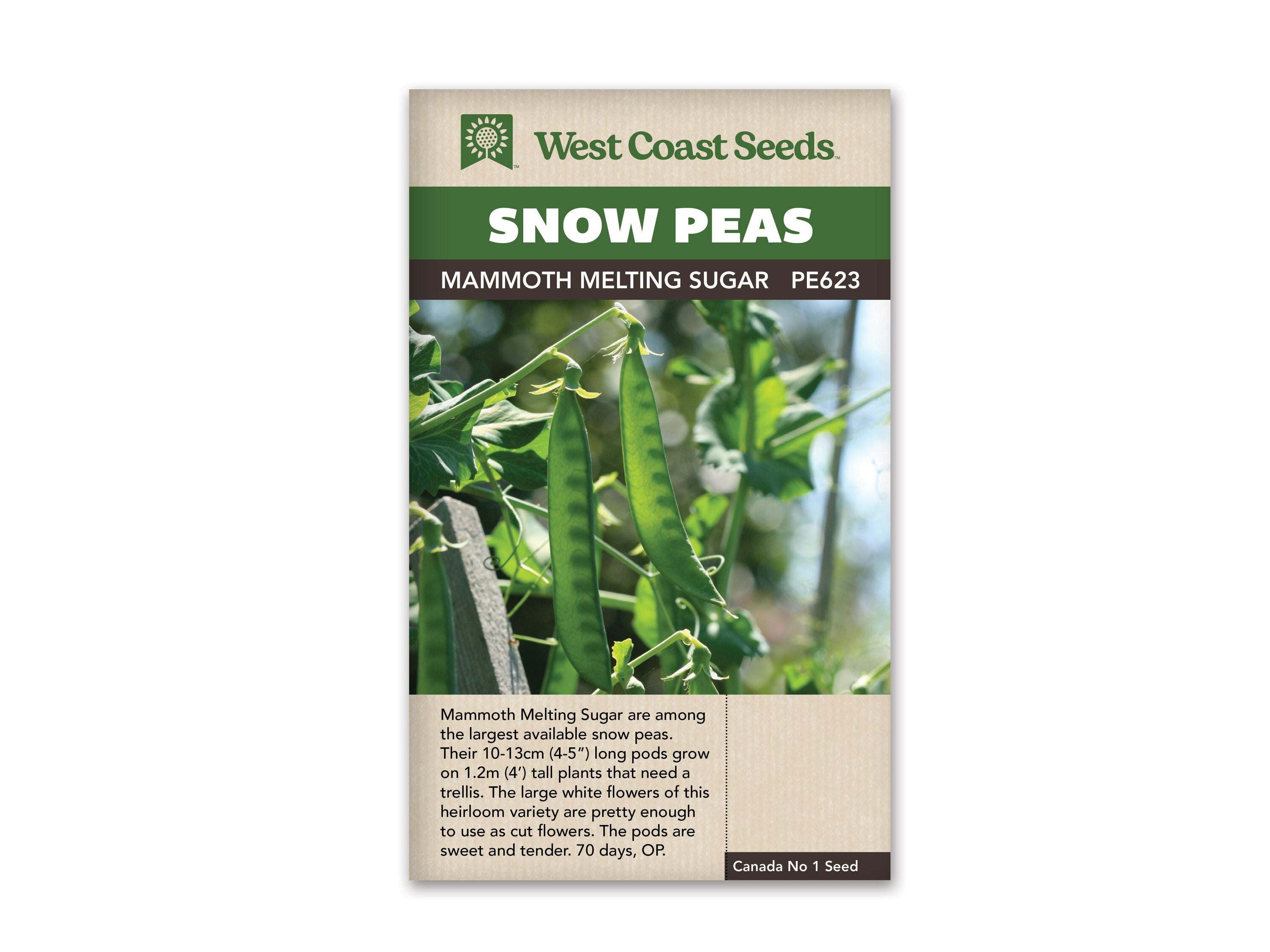 Product Image:Mammoth Melting Sugar Seeds