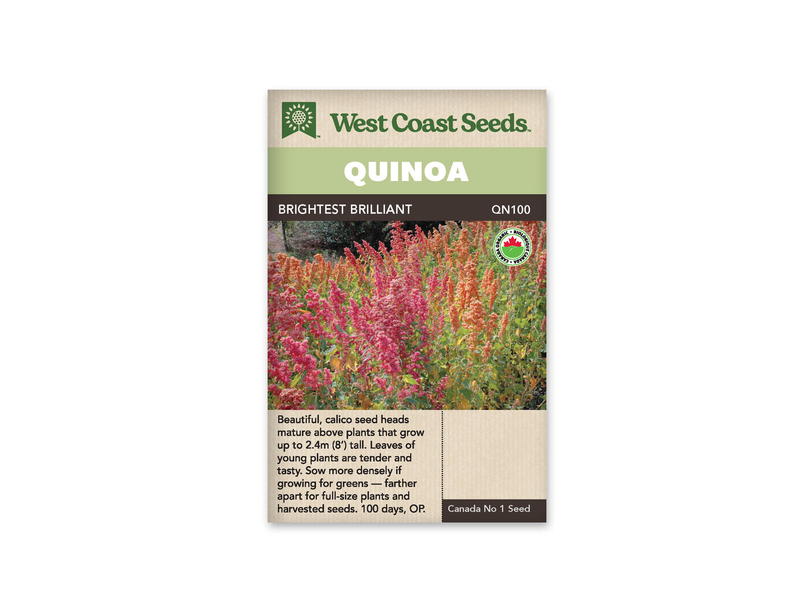 Product Image:Brightest Brilliant Organic Quinoa Seeds