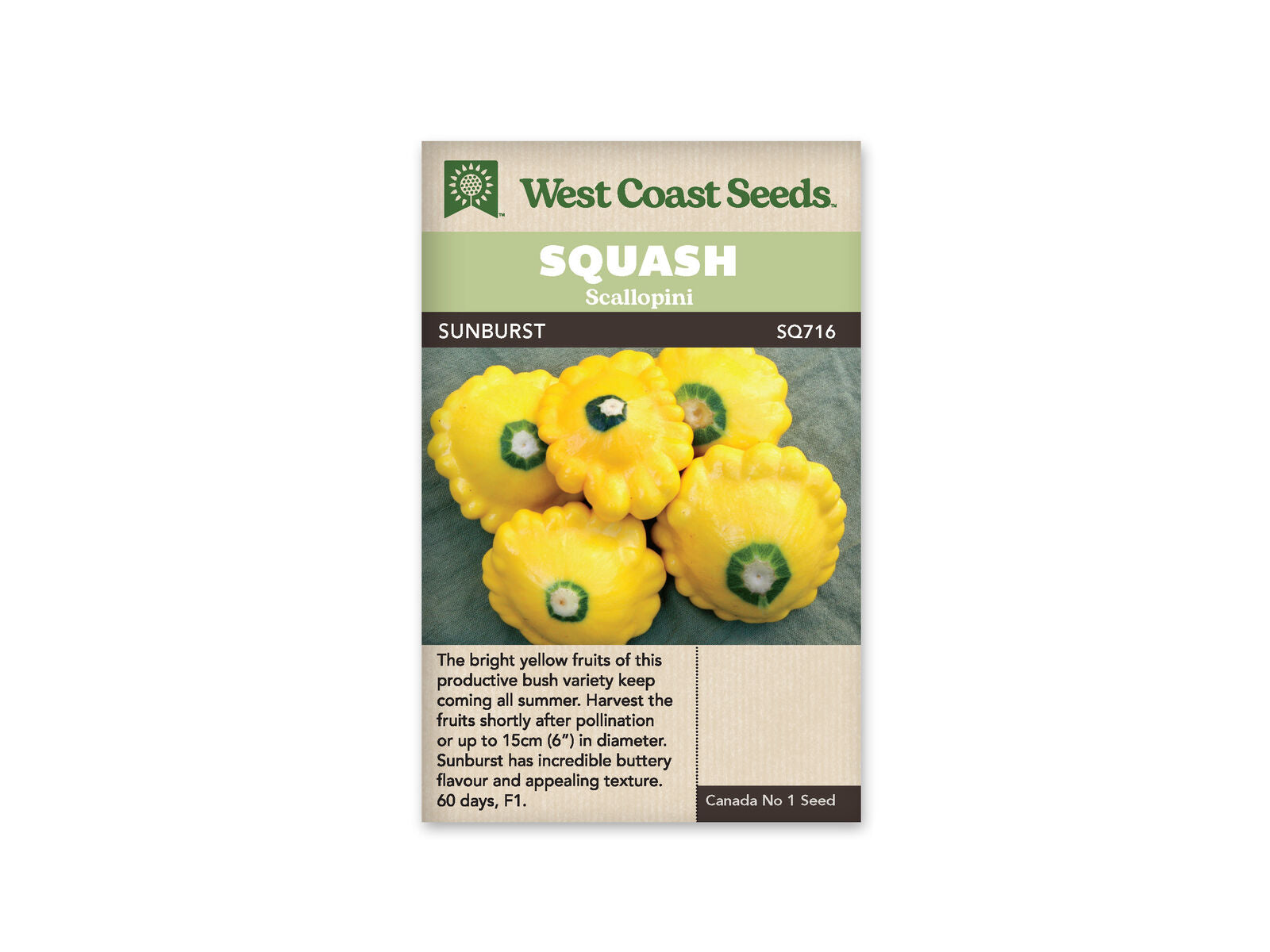 Sunburst Scallopini Seeds